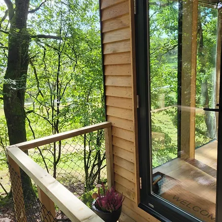 مكان تخييم Backyard Camps