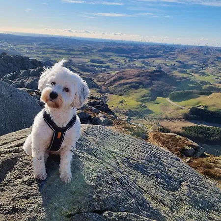 Backyard Camps Bjerkreim