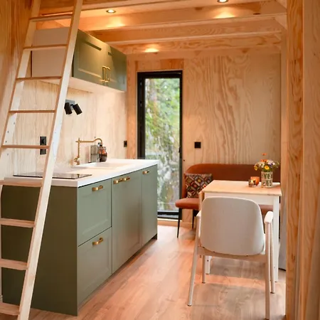 Kamp alanı Backyard Camps