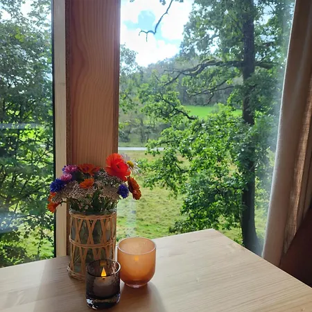 Backyard Camps Kamp alanı *