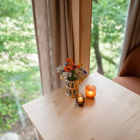 مكان تخييم Backyard Camps