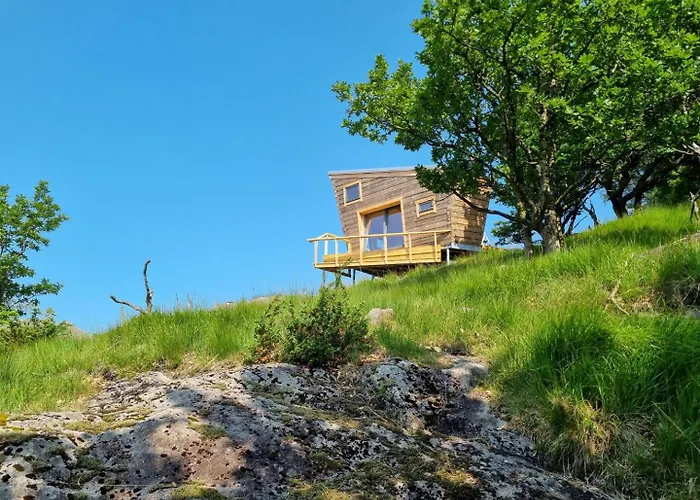 Backyard Camps