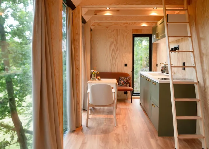 مكان تخييم Backyard Camps *