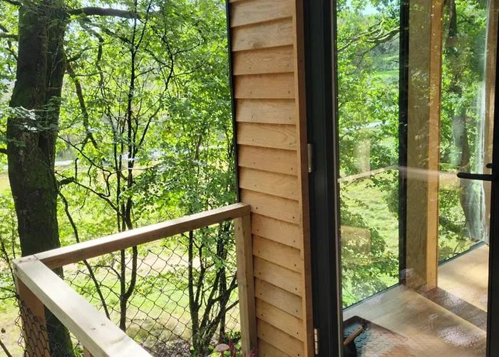 مكان تخييم Backyard Camps