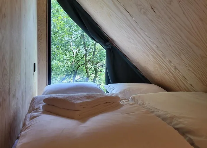 مكان تخييم Backyard Camps *