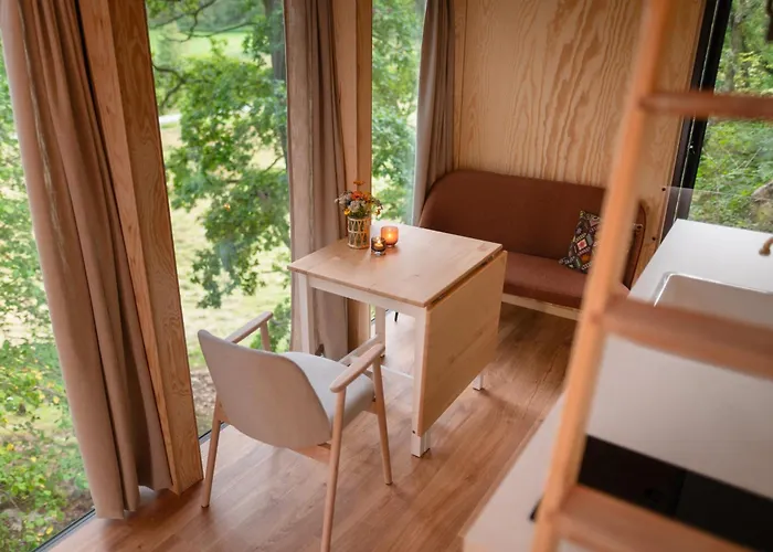 مكان تخييم Backyard Camps