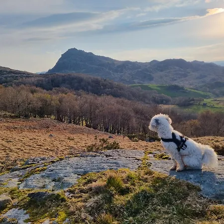 Backyard Camps Campingplatz *